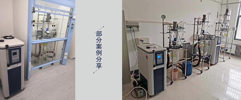 SY-50-250高溫循環器